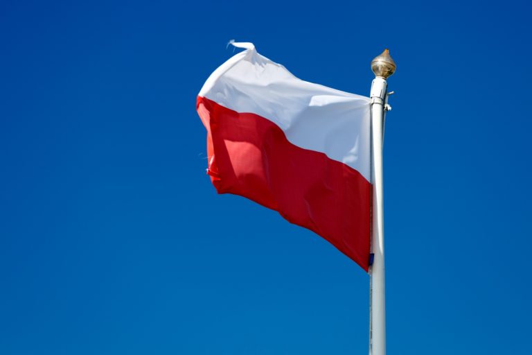 Wyjątkowe koszulki patriotyczne