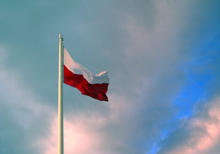 Stylowe koszulki patriotyczne